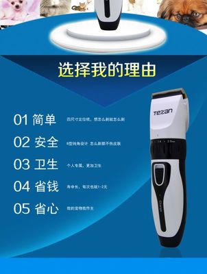 寵物電推剪 現代寵物美容的必備工具